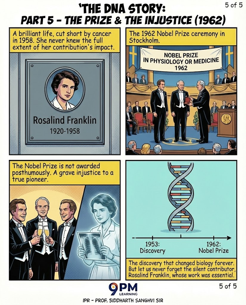 Part 5: The Nobel Prize