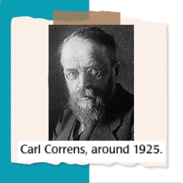 CARL CORRENS