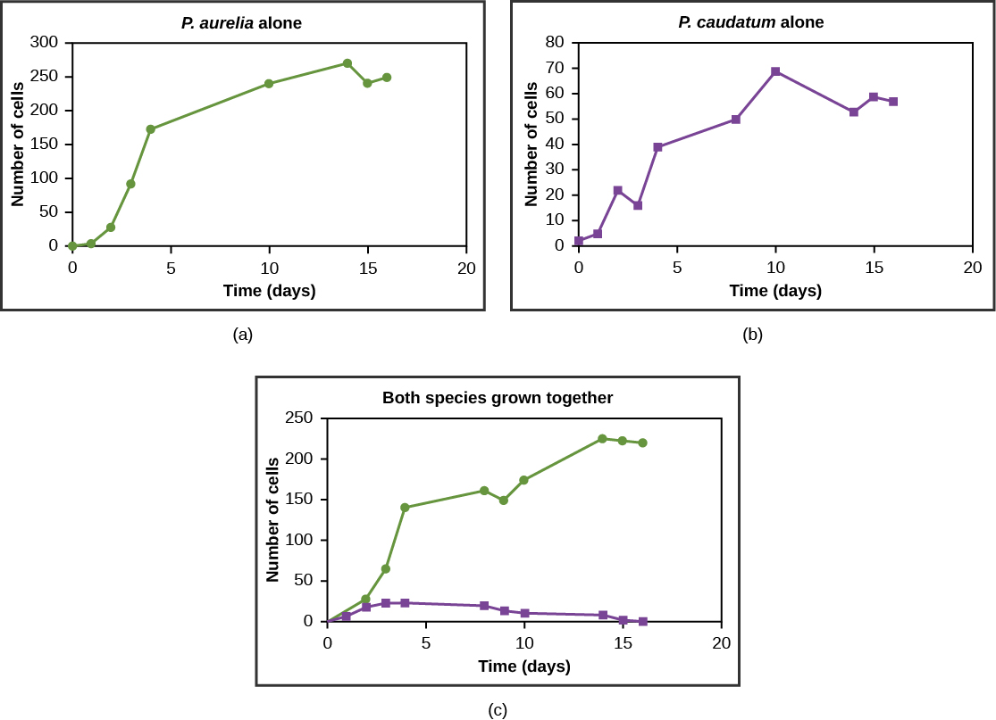 Graph showing Paramecium competition